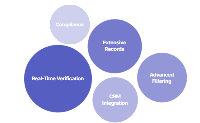 b2b contact database